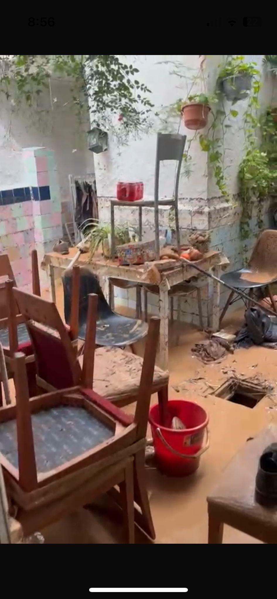 Foto de Asunción Carcelen Folgado
